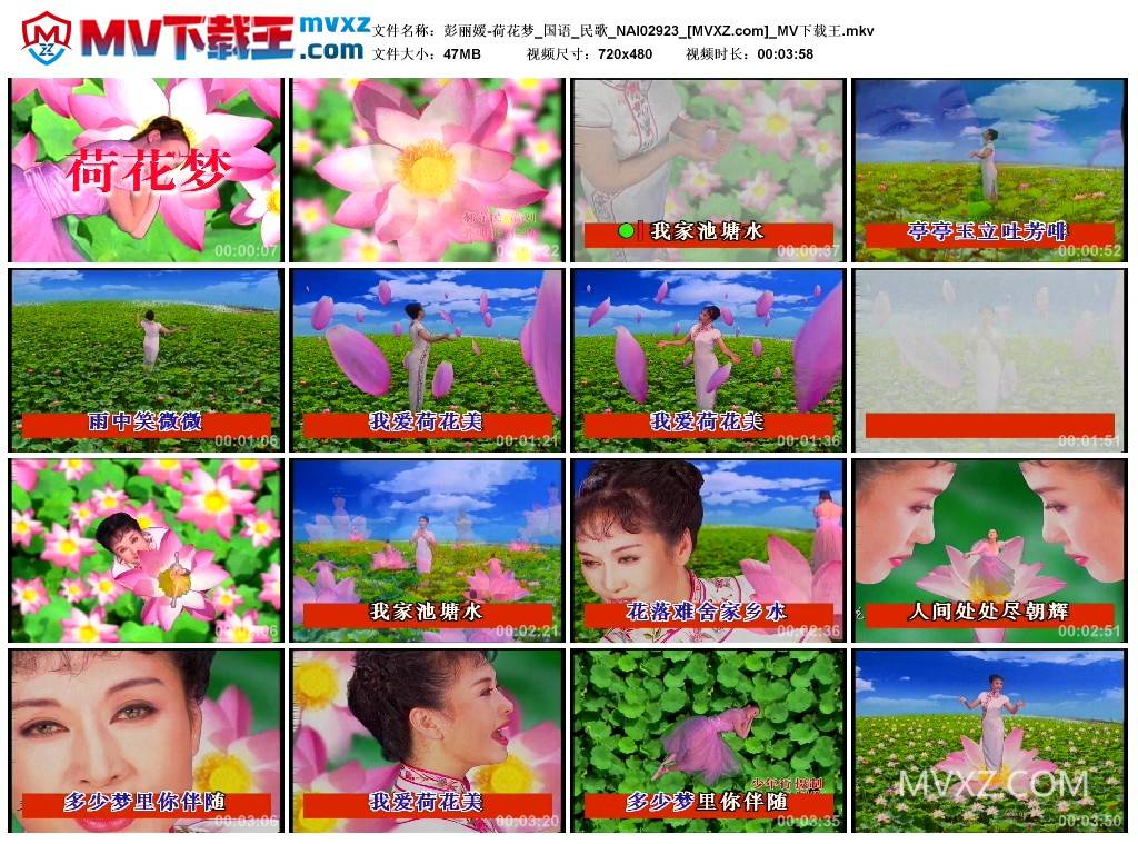 彭丽媛-荷花梦_国语_民歌_NAI02923